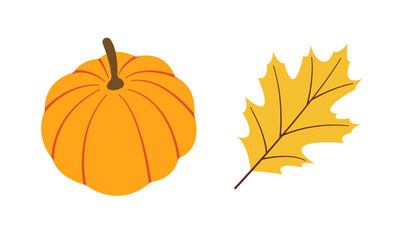 Autumn nature flat vectors: pumpkin, leaf for Seasonal Projects. Hand drawn set for banners, cards, social media