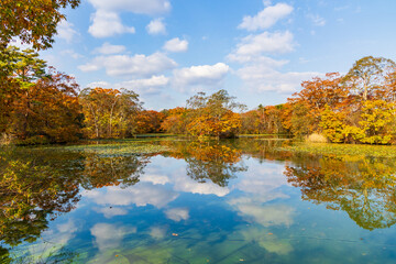 日本の風景・秋　北海道　紅葉の大沼公園