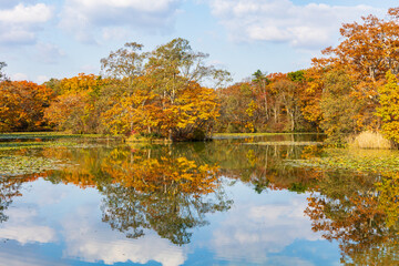 日本の風景・秋　北海道　紅葉の大沼公園