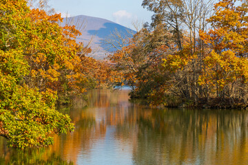 日本の風景・秋　北海道　紅葉の大沼公園