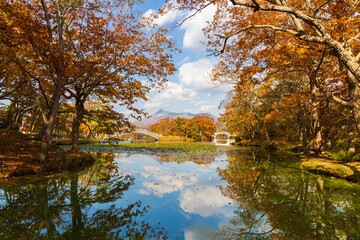 日本の風景・秋　北海道　紅葉の大沼公園