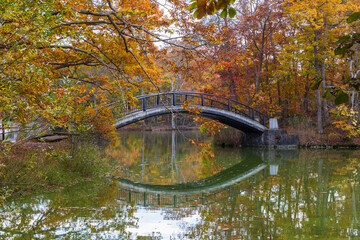 日本の風景・秋　北海道　紅葉の大沼公園