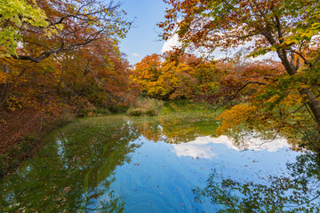 日本の風景・秋　北海道　紅葉の大沼公園