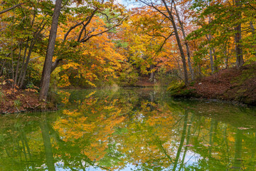 日本の風景・秋　北海道　紅葉の大沼公園