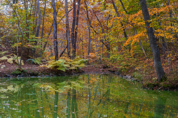 日本の風景・秋　北海道　紅葉の大沼公園