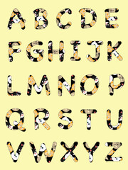 Colorful alphabet letters, playful design