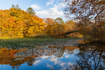 日本の風景・秋　北海道　紅葉の大沼公園