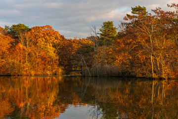 日本の風景・秋　北海道　紅葉の大沼公園の夕暮れ