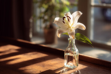 Single lily flower in a glass vase on wooden table