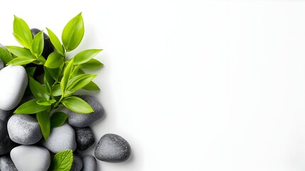 Zen stones, green leaves, white background, spa, tranquility