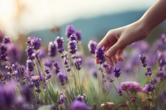 Woman strolling in a garden with lavender promoting tranquility and plant based therapy Environment health and an individual amidst spring s herbal landscape - Powered by Adobe