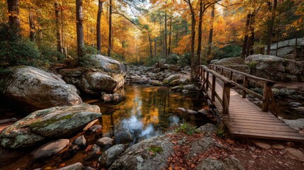Autumn Forest Creek with Wooden Bridge