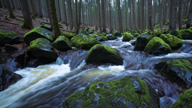 Forest Brook Flowing Over Moss-Covered Rocks