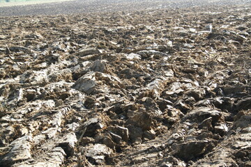 Close-up of a field freshly ploughed by a plough - Gros plan sur un champ fraichement labouré par une charrue