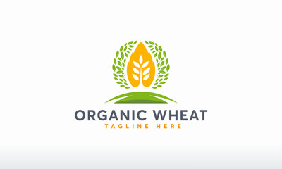 organic wheat logo designs template