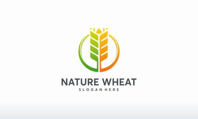 nature wheat logo designs concept template