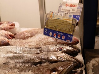 Freshly caught hake lying on crushed ice, displaying market-ready appearance with clear pricing tag...
