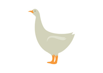Cute goose. Simple flat illustration.

