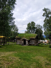 Traditional Norwegian houses with grass-covered roofs in a rural mountain area.