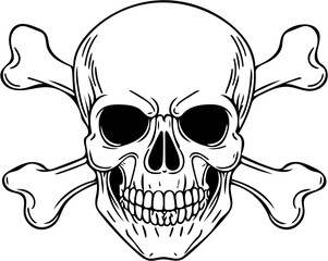 vector line art skull and crossbones illustration, isolated on white