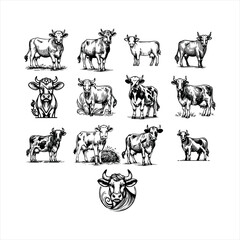 Cute kawaii cow and baby cartoon character coloring page vector illustration. Farm animal, colouring page for kids