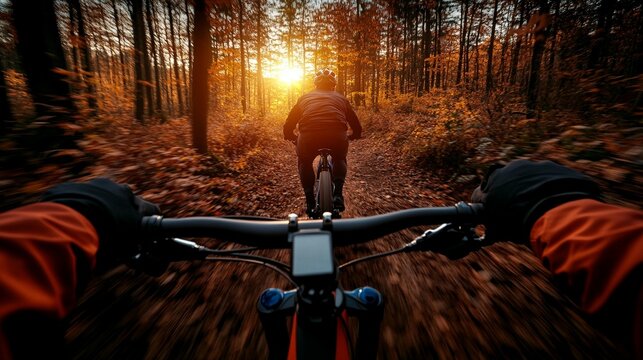 Two mountain bikers on a trail in autumn forest, sunset.  Sunlight streams through the trees.  View from the front handlebars