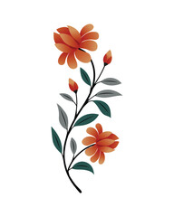 Hand Drawn Spring and Summer  Flowers Decorations