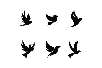 black bird logo vector illustration logo design