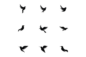 black bird logo vector illustration logo design