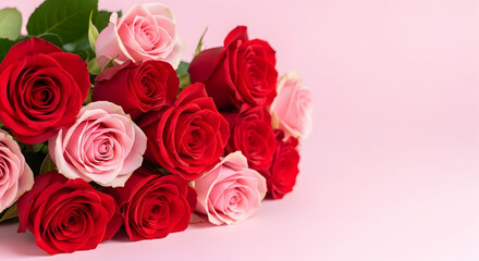 Roses, Red roses, Pink roses, Romantic Bouquet of Red and Pink Roses on Pink Background