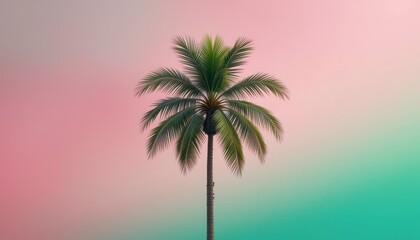 Single Palm Tree Silhouetted Against a Pastel Sky