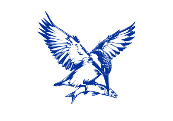 Kingfisher bird hand drawn sketch vector illustration