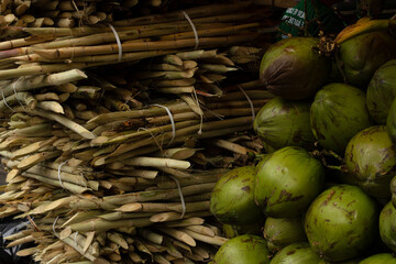 Fardos de cana de açúcar para fazer caldo de cana e coco verde para servir água de coco. 