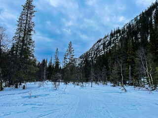  Snow-covered valley surrounded by tall pine trees and steep mountain slopes under a cloudy blue...