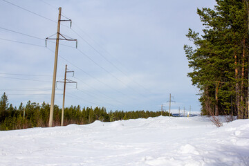  A quiet snow-covered forest road stretches between tall pine trees under a soft winter light. The...