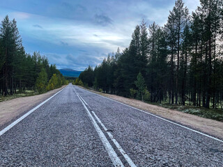  Straight asphalt road through forest with double white lines, trees on both sides, and traffic...