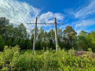  Old power line poles standing in green forest under a vibrant blue sky with clouds. Energy...