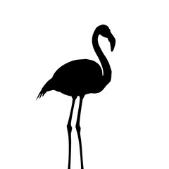 High-Contrast Black Silhouettes of Animals and Insects on Clean White Background &ndash; Vector Illustration