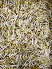 A bowl filled with green sprouts rests on a kitchen surface, emphasizing a focus on fresh, nutritious food.