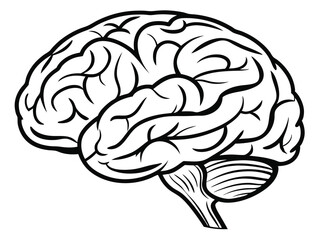 Illustrated anatomical depiction of a human brain showing cerebral cortex and cerebellum in black outlines.