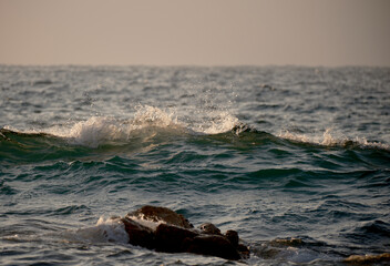 夕暮れの日本海の荒波
