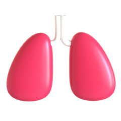 lungs biology 3d icon illustration
