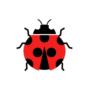 Simple ladybug illustration with red and black colors in vector format