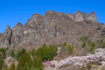 妙義さくらの里から望む妙義山