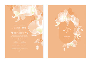 Wedding invitation and save the date template set of delicate, translucent white Phalaenopsis orchid on a peachy-orange background. The style is modern, romantic, and inviting