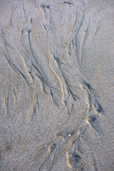 Texture of sand dunes in the soft light of the setting sun on the background.