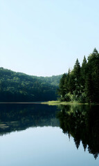 Serene lake surrounded by evergreen trees casting reflections in the tranquil water under a clear sky scenic nature photography