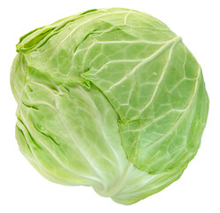 Fototapeta premium raw cabbage isolated.