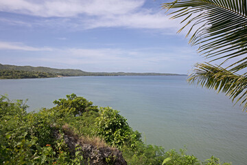 Seascape Photo from the Cliffs with palm tree leaves