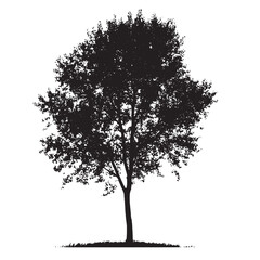 Fototapeta premium Aspen Tree Silhouette Minimal Style Vector